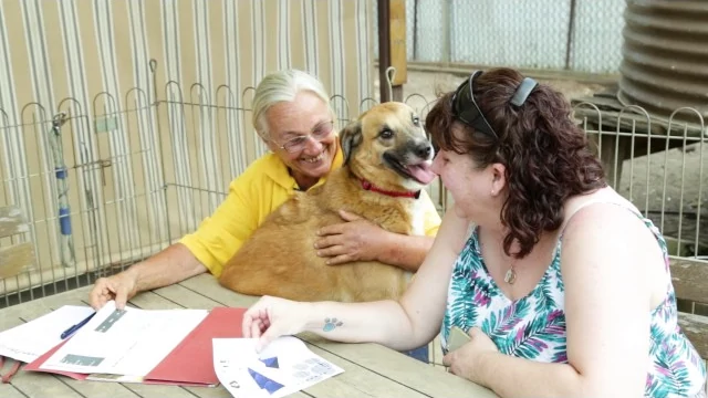 Welcome to Happy Paws Haven — play video