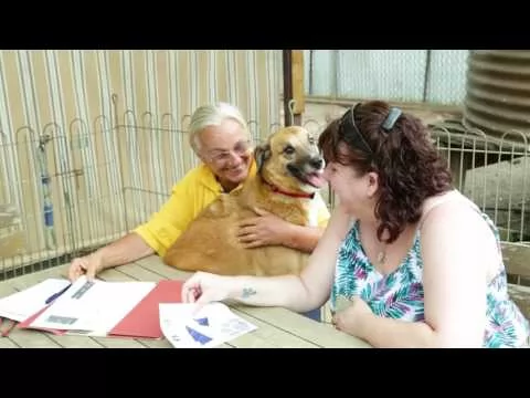 Welcome to Happy Paws Haven — play video